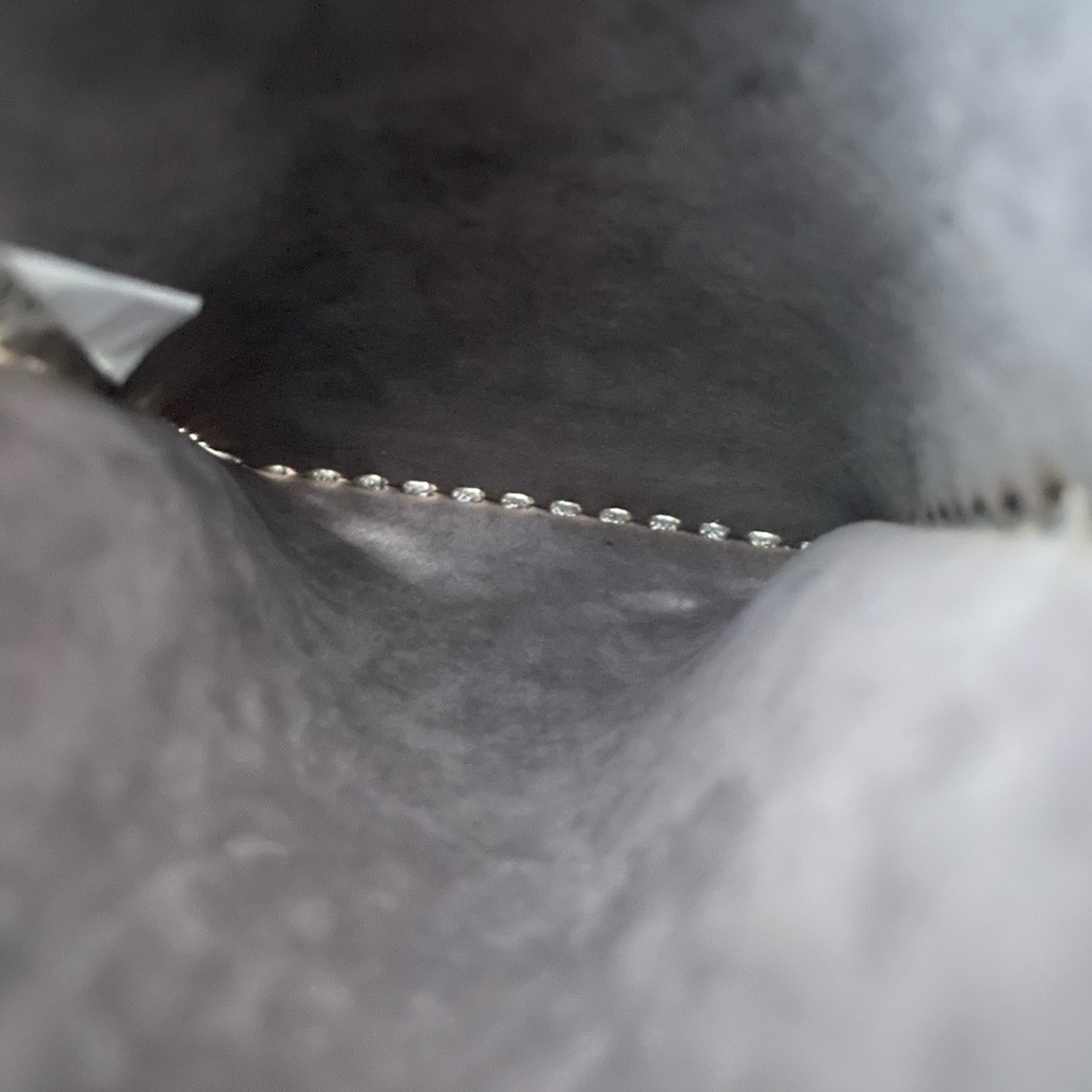Silver crossbody! - Picture 4 of 10